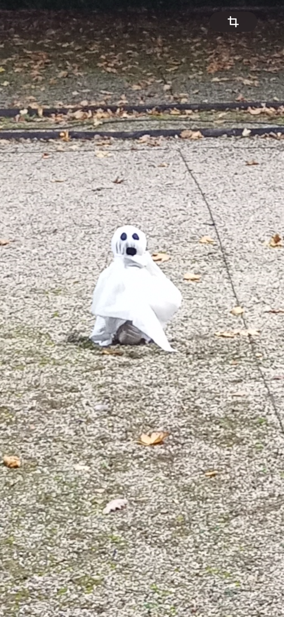 Geistersichtung beim BCK! 😱